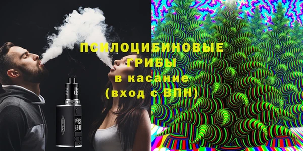 ПСИЛОЦИБИНОВЫЕ ГРИБЫ Ижевск