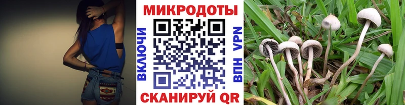 Галлюциногенные грибы MAGIC MUSHROOMS  Анадырь 